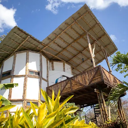 The Jungle Villa Mérida Exterior photo