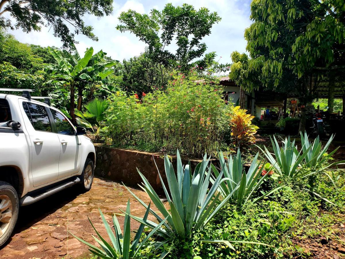 Lodge The Jungle