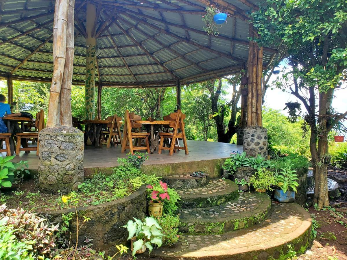 The Jungle *