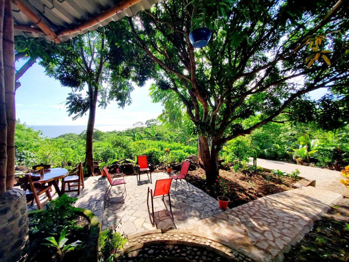 The Jungle Lodge
