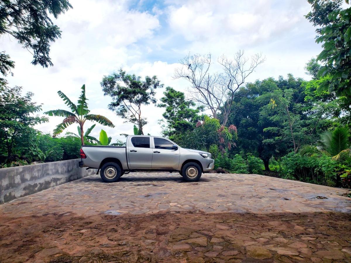 Lodge The Jungle