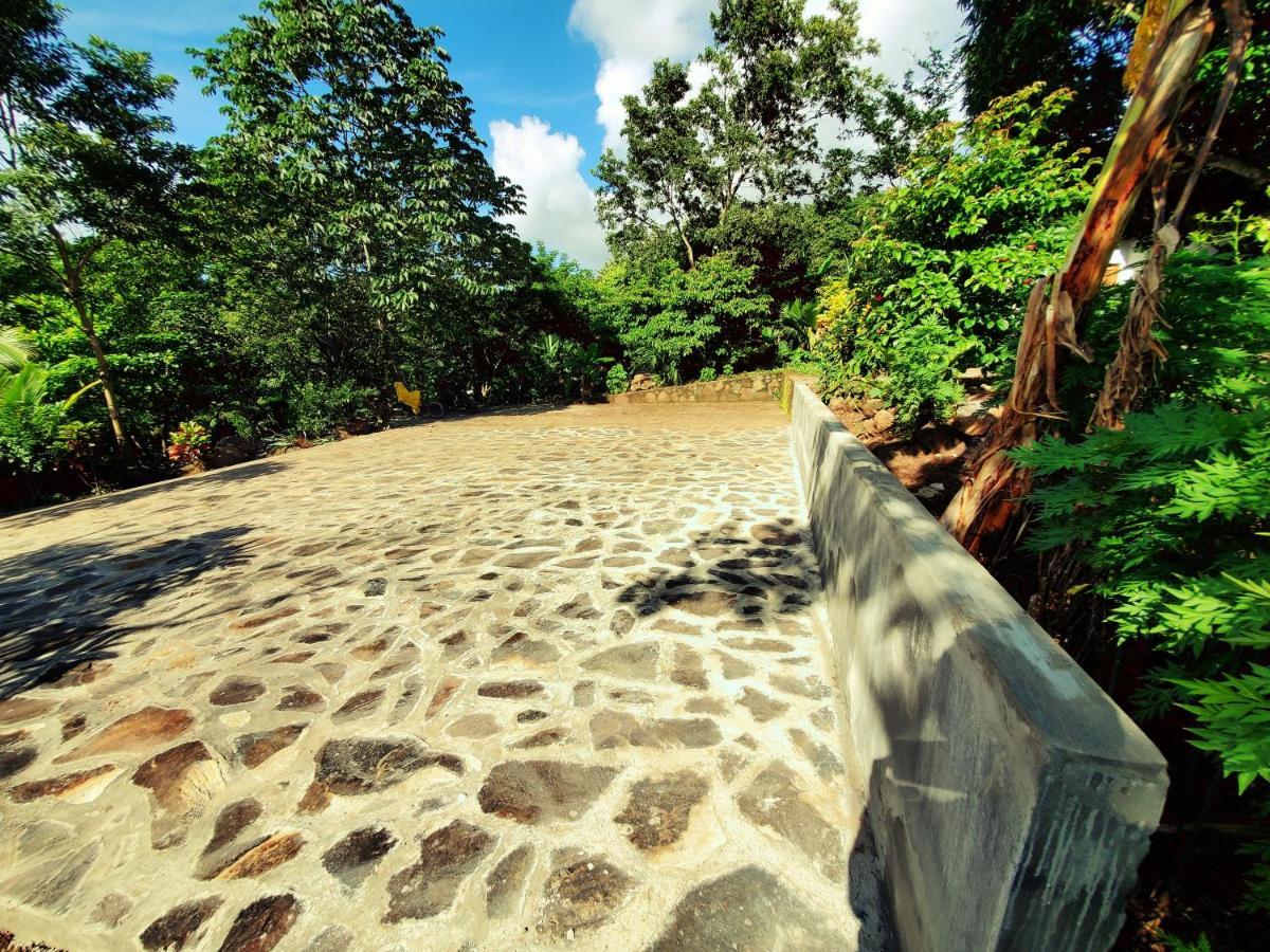 The Jungle Lodge *