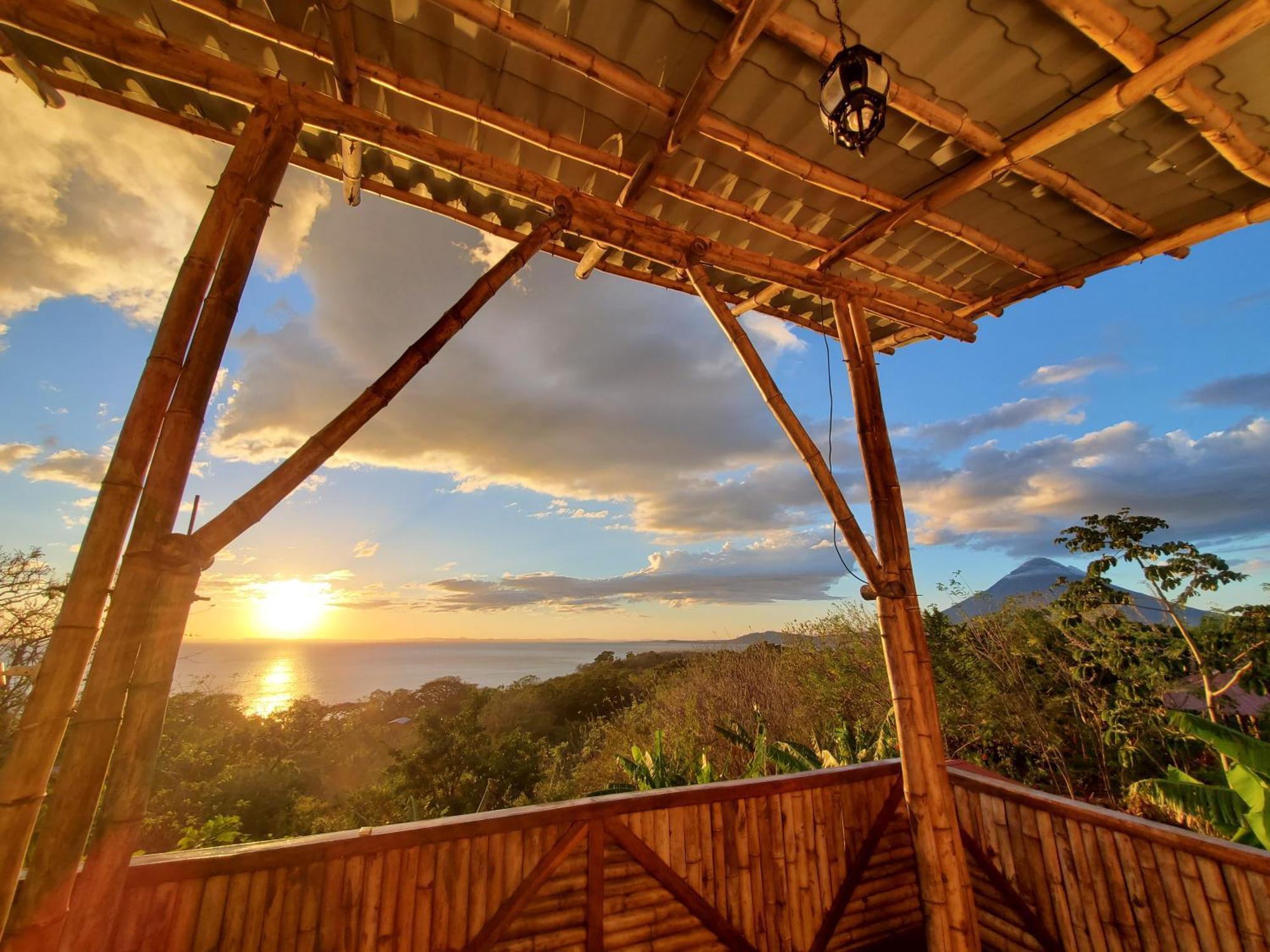 The Jungle Lodge