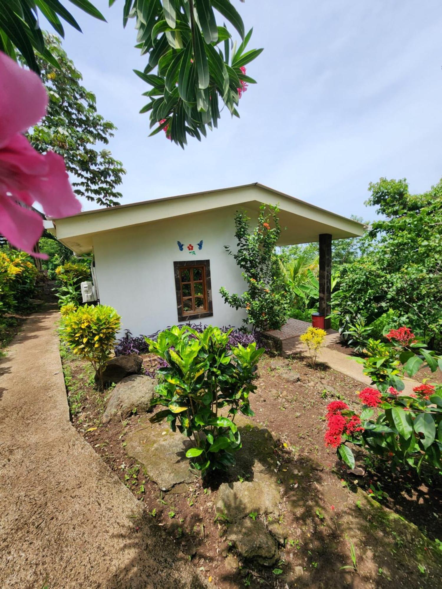 The Jungle Lodge *