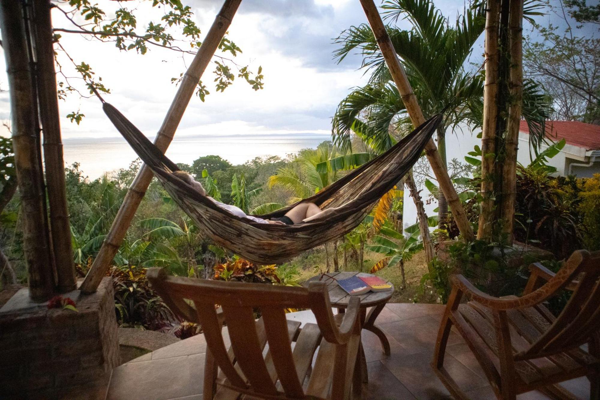 The Jungle Lodge