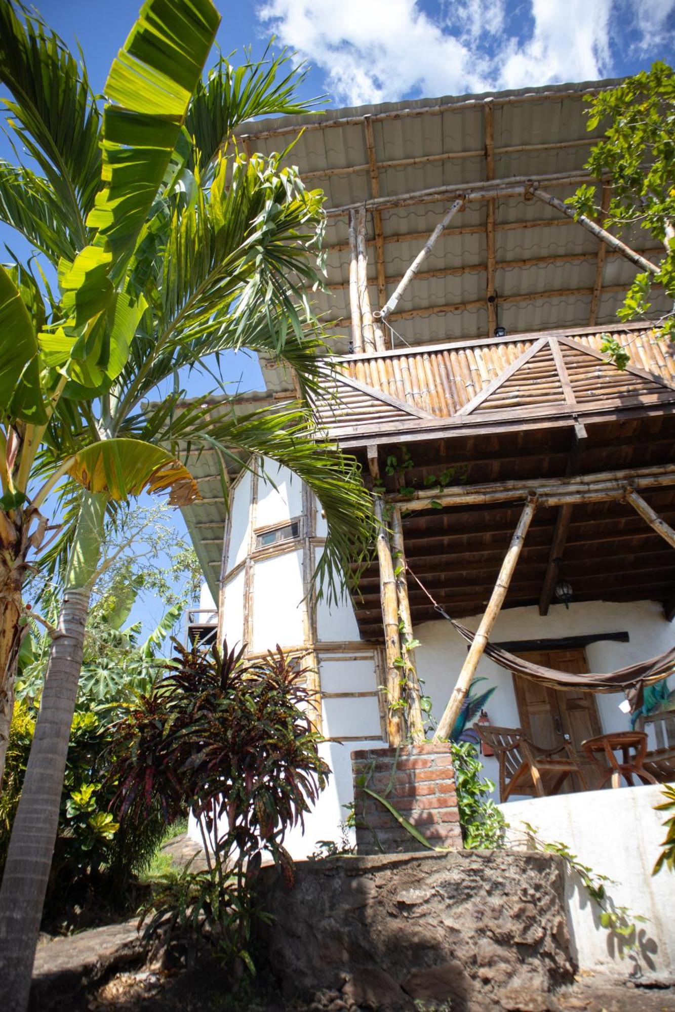 Lodge The Jungle *